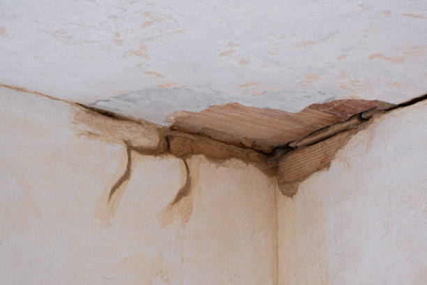 Best Water damage restoration mold remediation  in West Livingston, TX