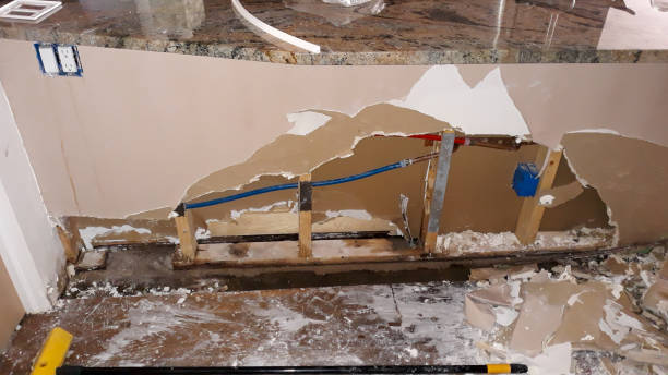 Best Local water damage restoration  in West Livingston, TX