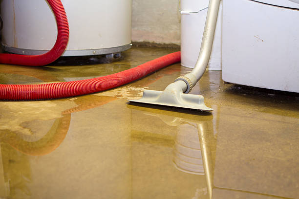 Best Commercial water damage restoration  in West Livingston, TX