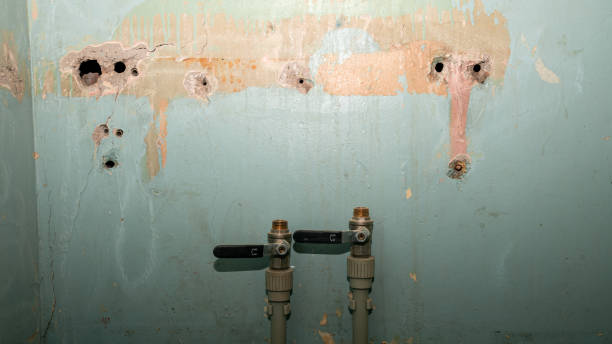 Best Water damage mitigation services  in West Livingston, TX